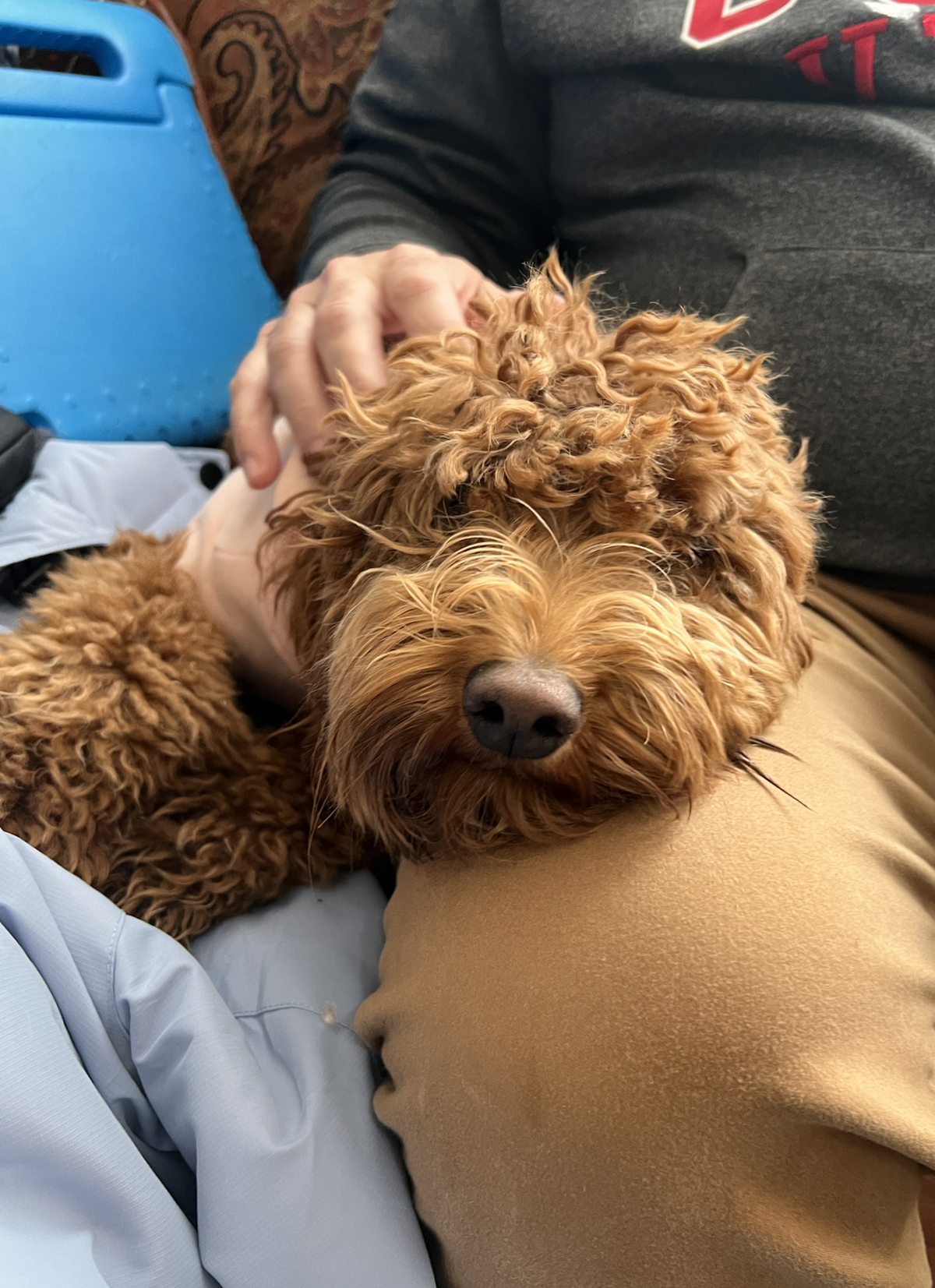 Screenshot 2024-08-27 at 12.38.55 PM