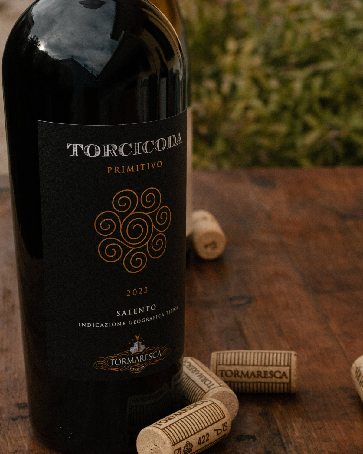 24Nov2025_BoccaDiLupo-38