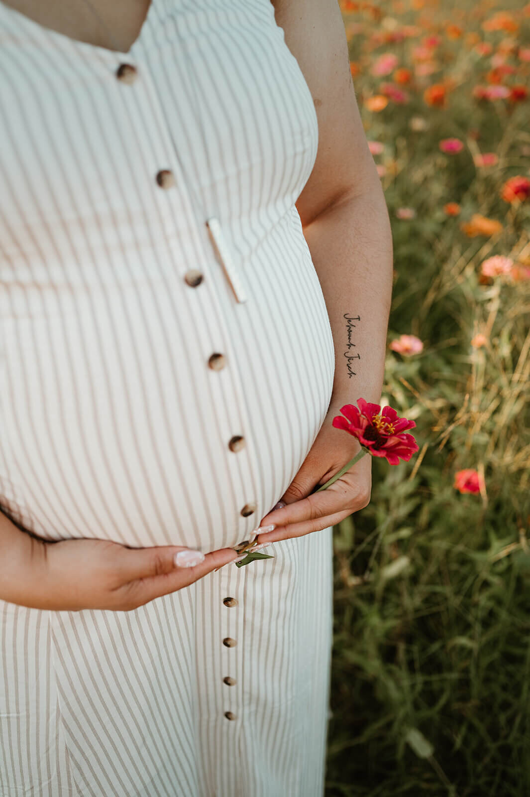maternity-photo-flower-field-sunset-charlotte-monroe
