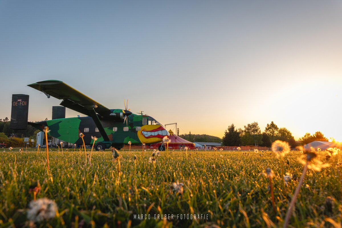 Die Pink Skyvan am Abend in Klatovy. Das Bild zeigt die legendäre Pink Skyvan auf ihrer Homebas in Klatovy. Im Vordergrund sind Löwenzahn blüten zu sehen