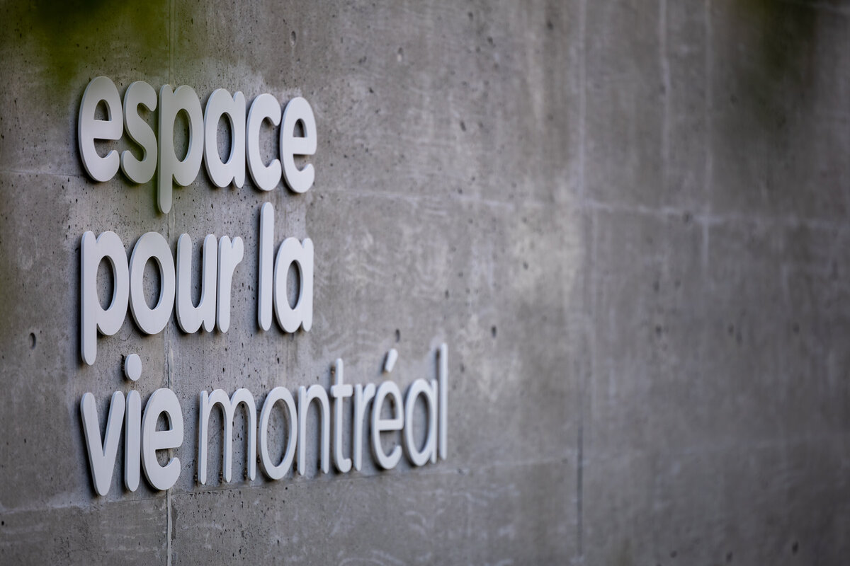 Photo événement Espace pour la Vie Montréal