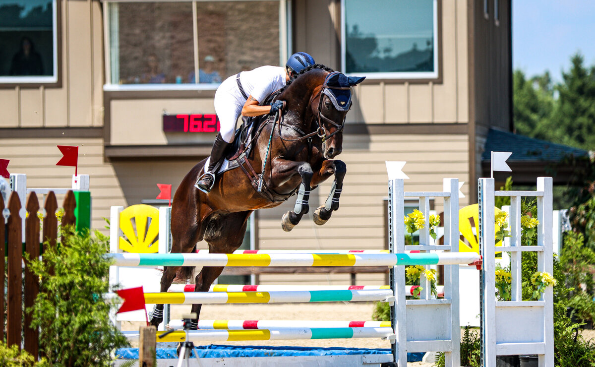 A bay horse jumping a large multicolored oxer at an event at the Carolina Horse Park in Raeford, North Carolina.