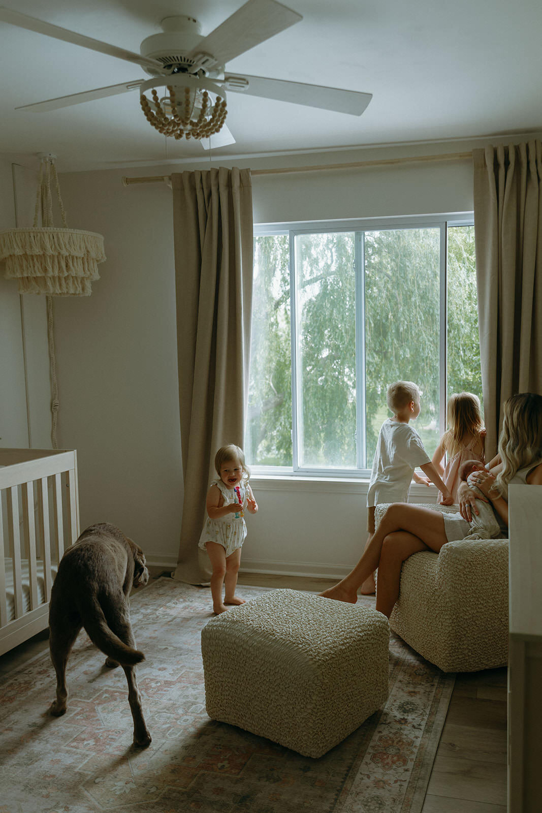 6.9.2025 - The Schultz Family_ Newborn-153