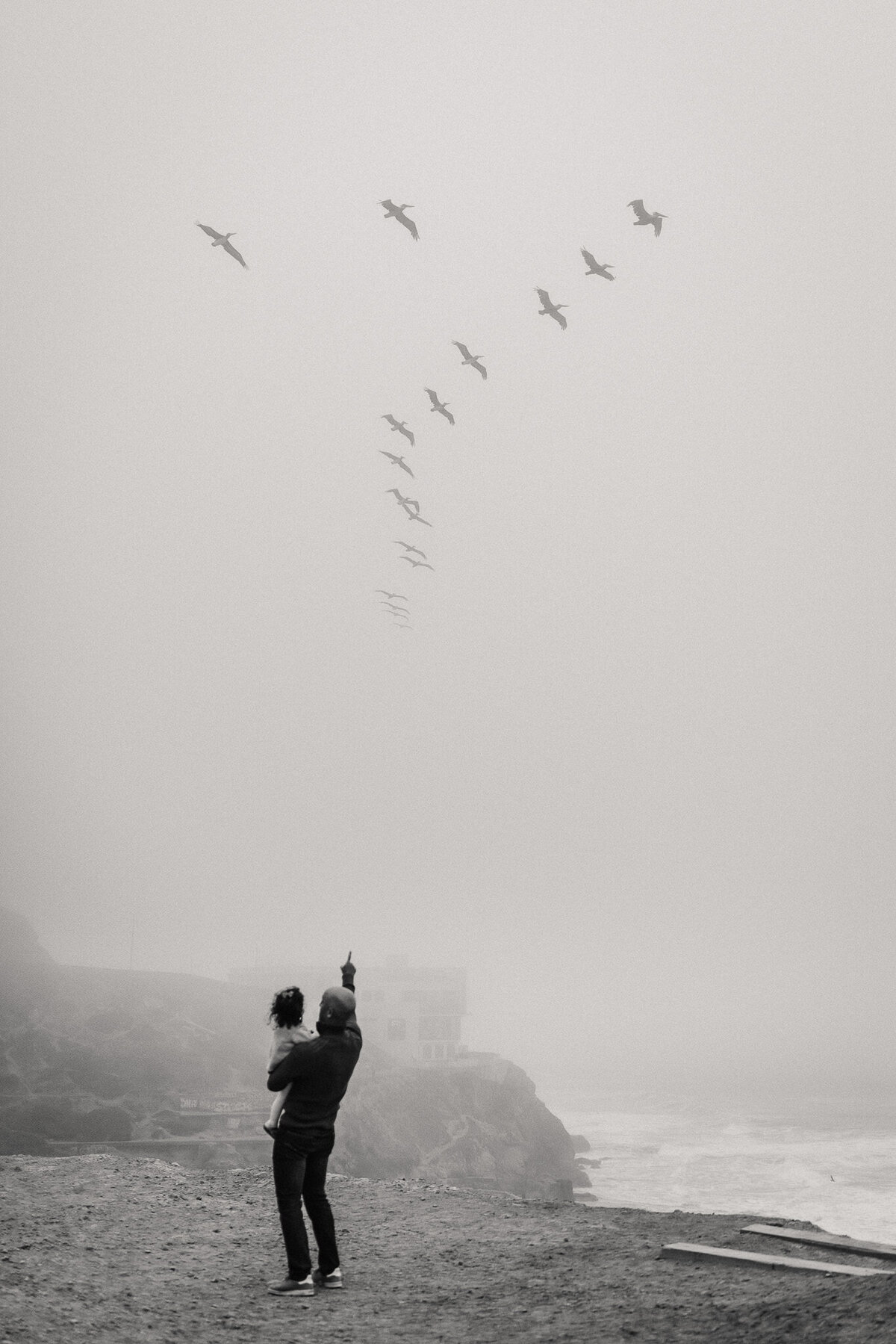 Documentary black and white photograph of Dad holding child and pointing at birds flying above on foggy coast