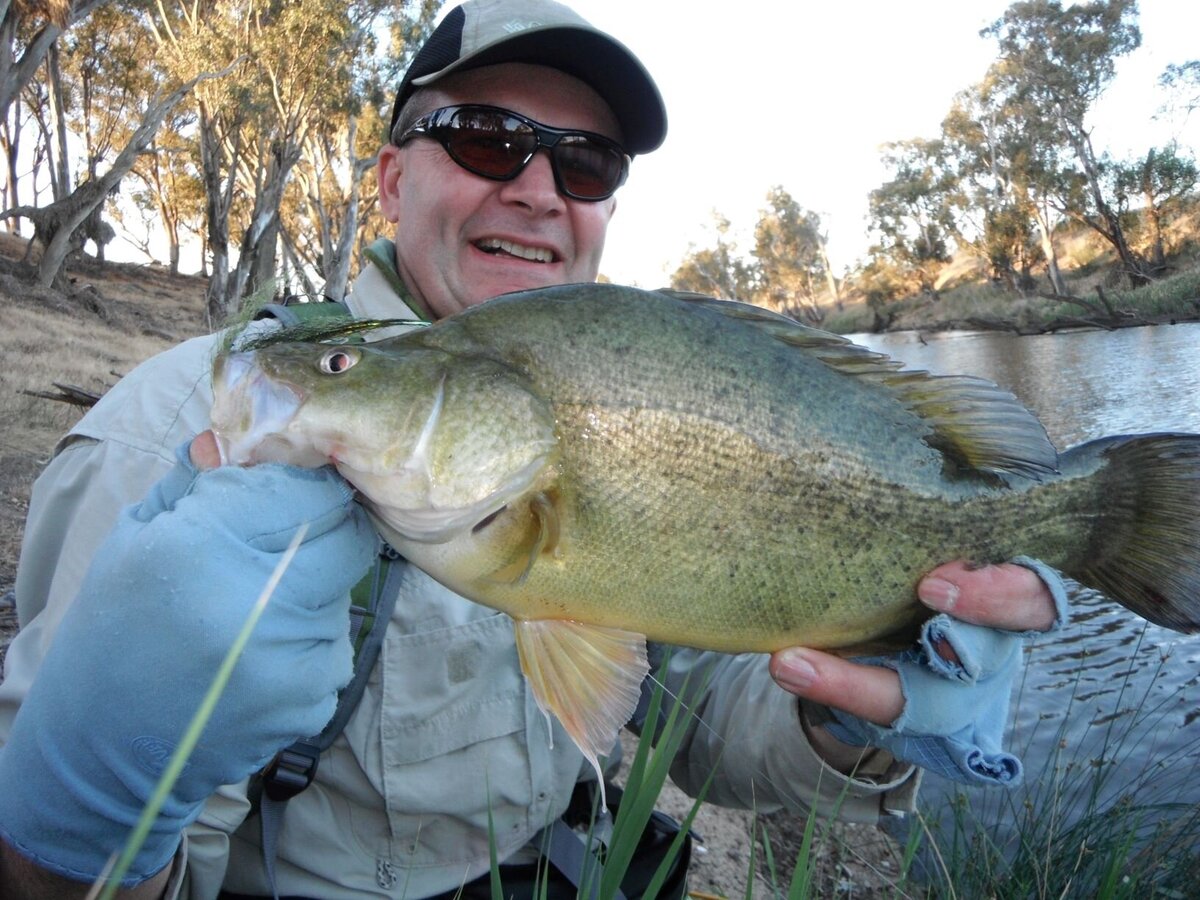Native Cod Flies Murray Cod Fly Fishing Victoria | Ozzy Native Flies