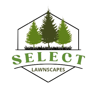 Austin Texas Lawn Care Services - Austin Lawn Care Service Company