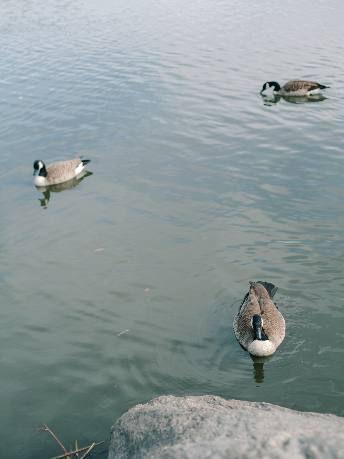 E+J_New York City_Luxury_Engagement_Photo_Washington DC_Skyler Jordan Photography-181