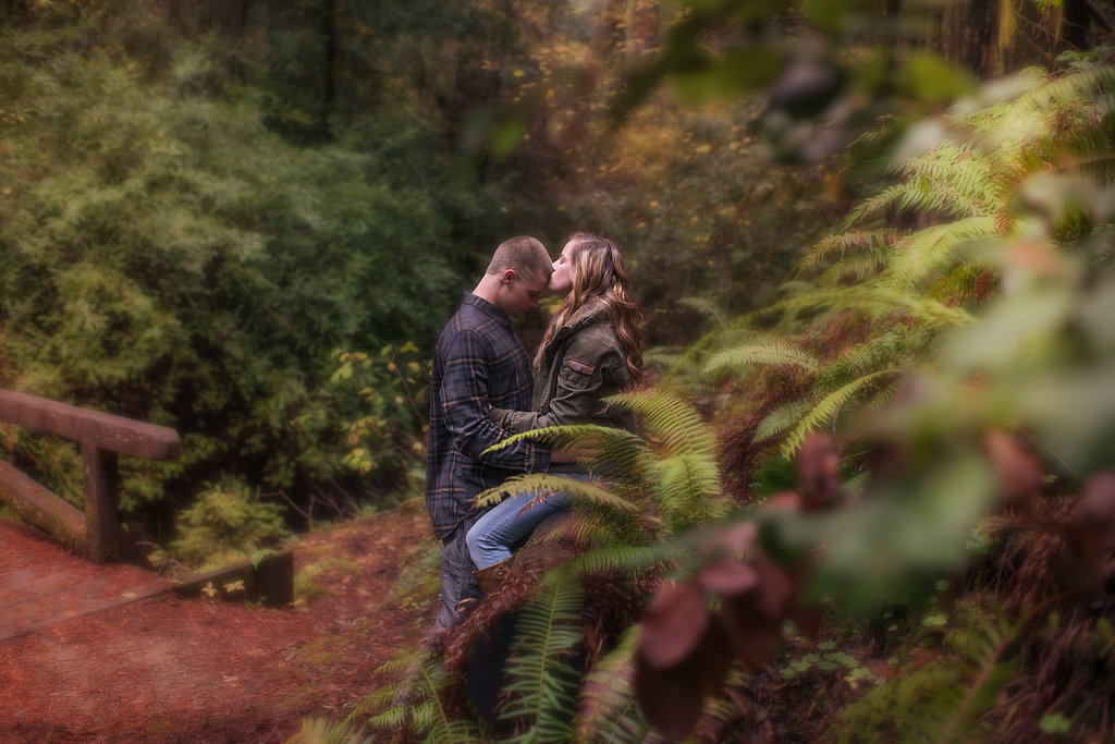 Redway-California-engagement-photographer-Parky's-Pics-Photography-Humboldt-County-redwoods-Avenue-of-the-Giants-engagement-9jpg