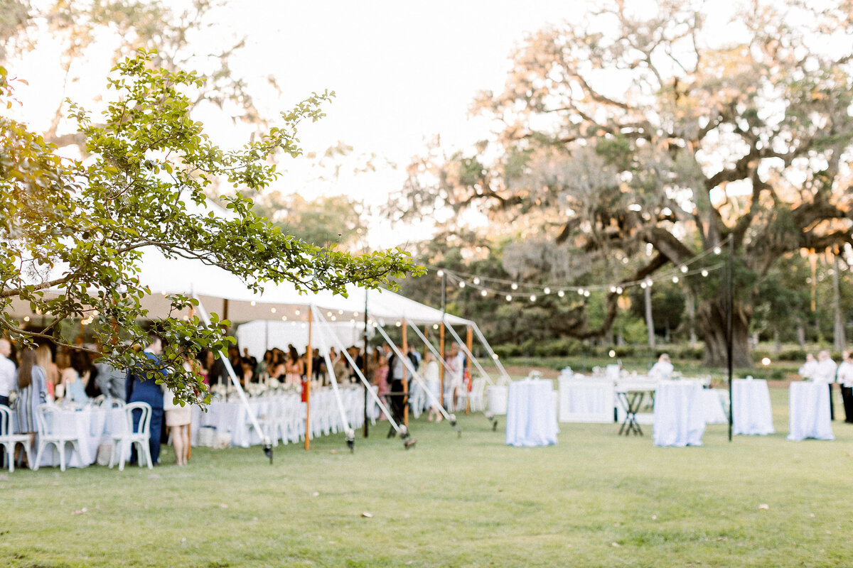 Brie&Andrew_AirlieGardensWedding_ErinL.TaylorPhotography-1324