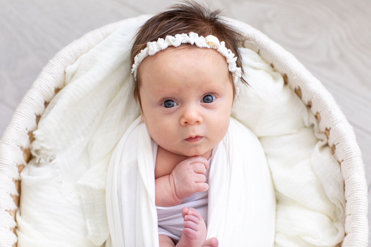a very alert newborn baby girl partially swaddled and looking at the camera, taken during a Bucks County Newborn Portrait Session