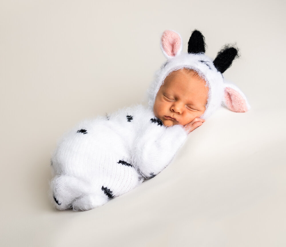 newborn baby dressed as a cow photo