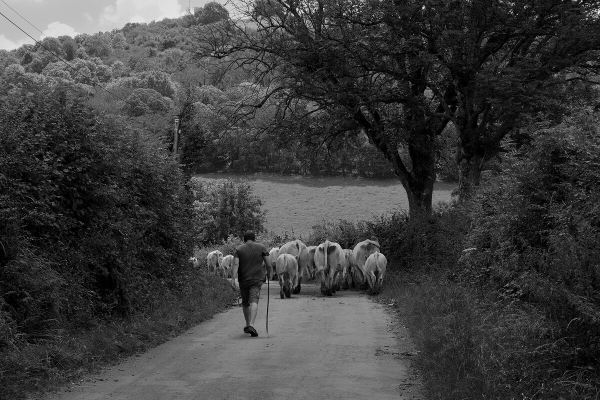 Bart Van der Moeren - Morvan - 023