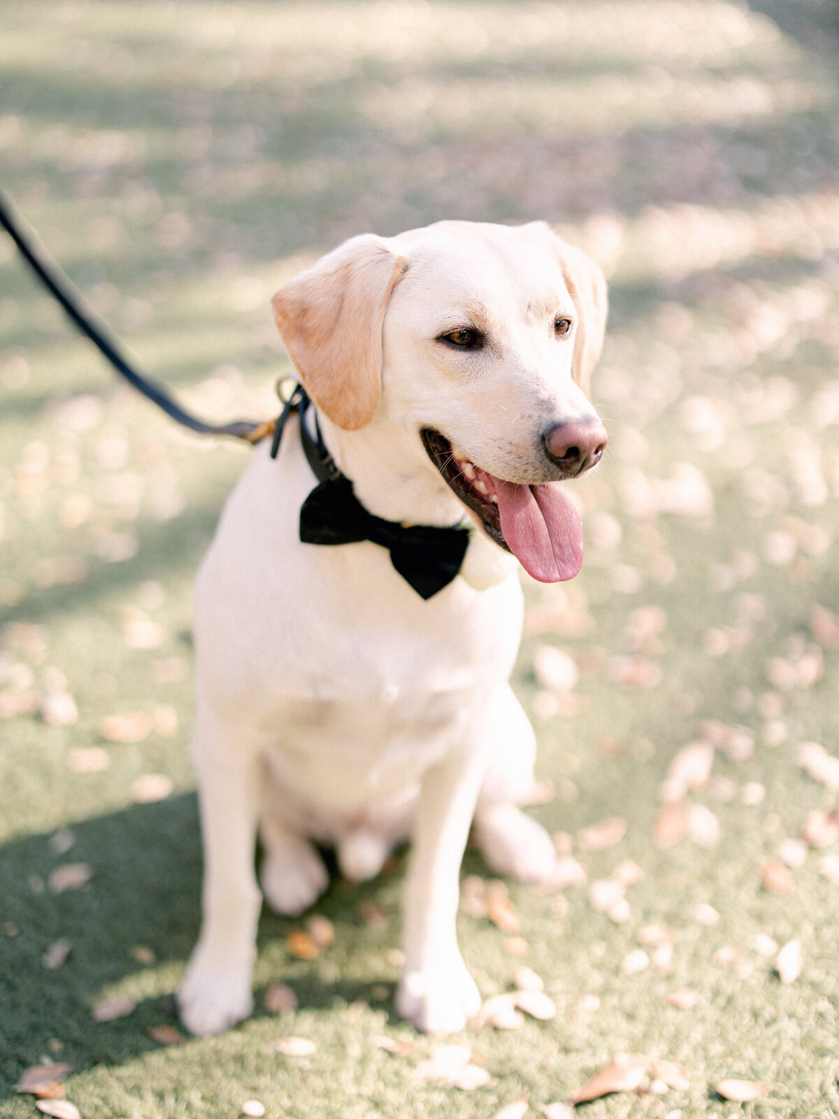 Four Seasons Austin Wedding 657