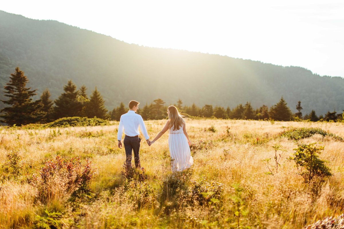 roan mountain state park engagement photography