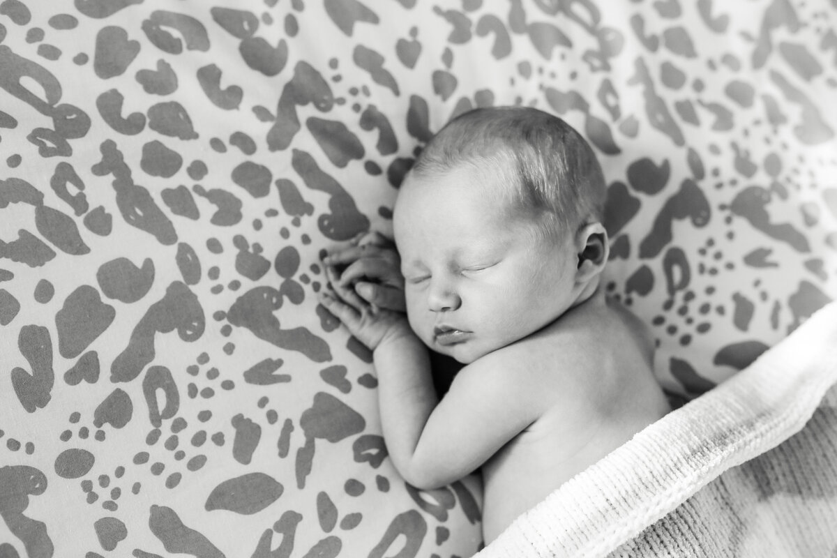 Visit Vanessa's website to view stunning, natural new born photographs taken in the comfort of your own home.