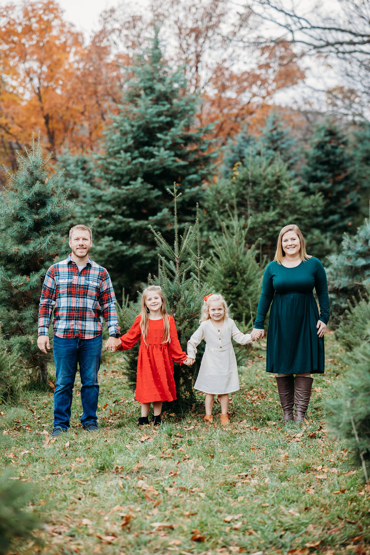 Shannon-Tree-Farm-24 (1)