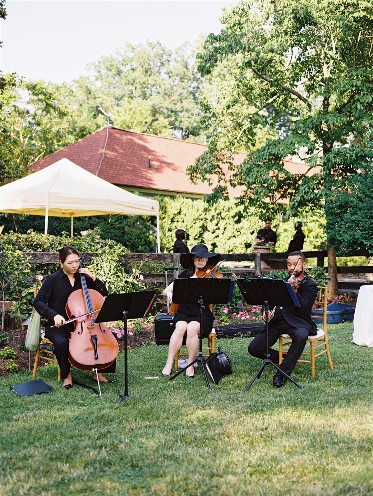musicians play at the garden cocktail hour of a wedding in Middleburg, Virginia
