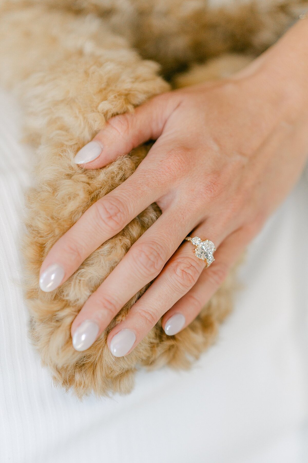 Hotel Carmichael Wedding Alison Mae Photography_1850