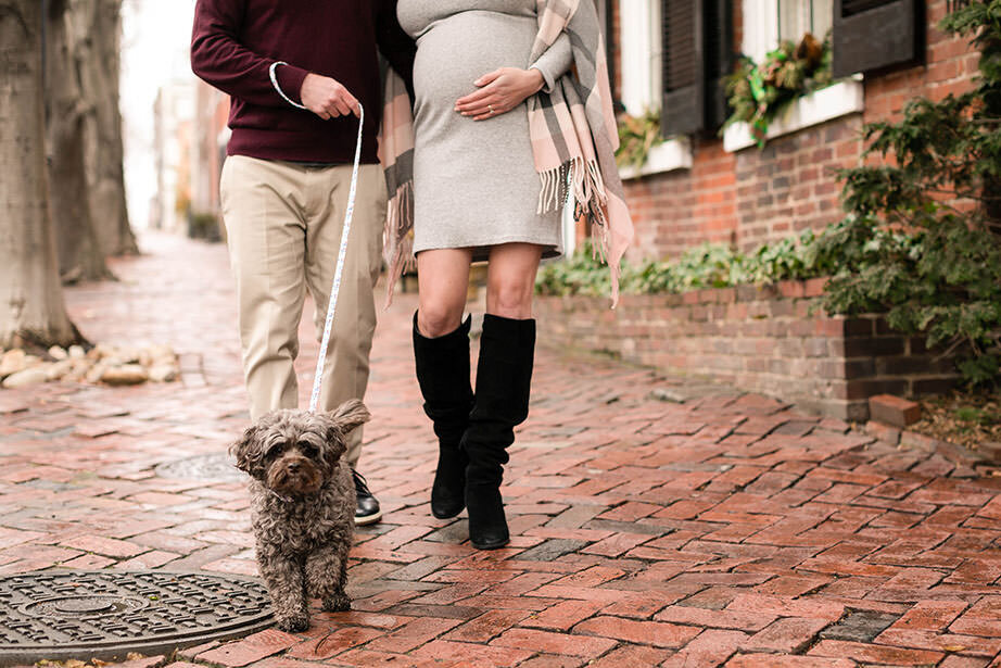 cropped photo of couple walking showing off baby bell and dog in old town Alexandria va