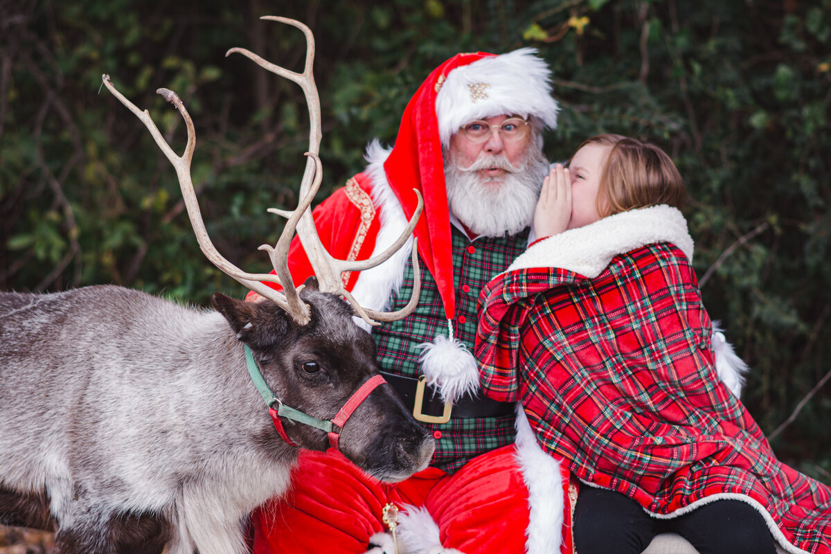 CCS_Winter Mini_Santa & Reindeer_LGrant-5