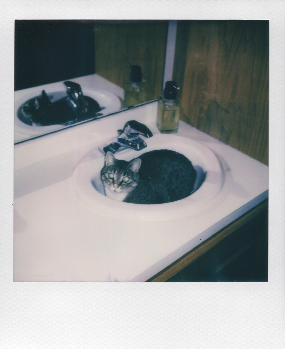 professional polaroid photographer brianna kirk photography1
