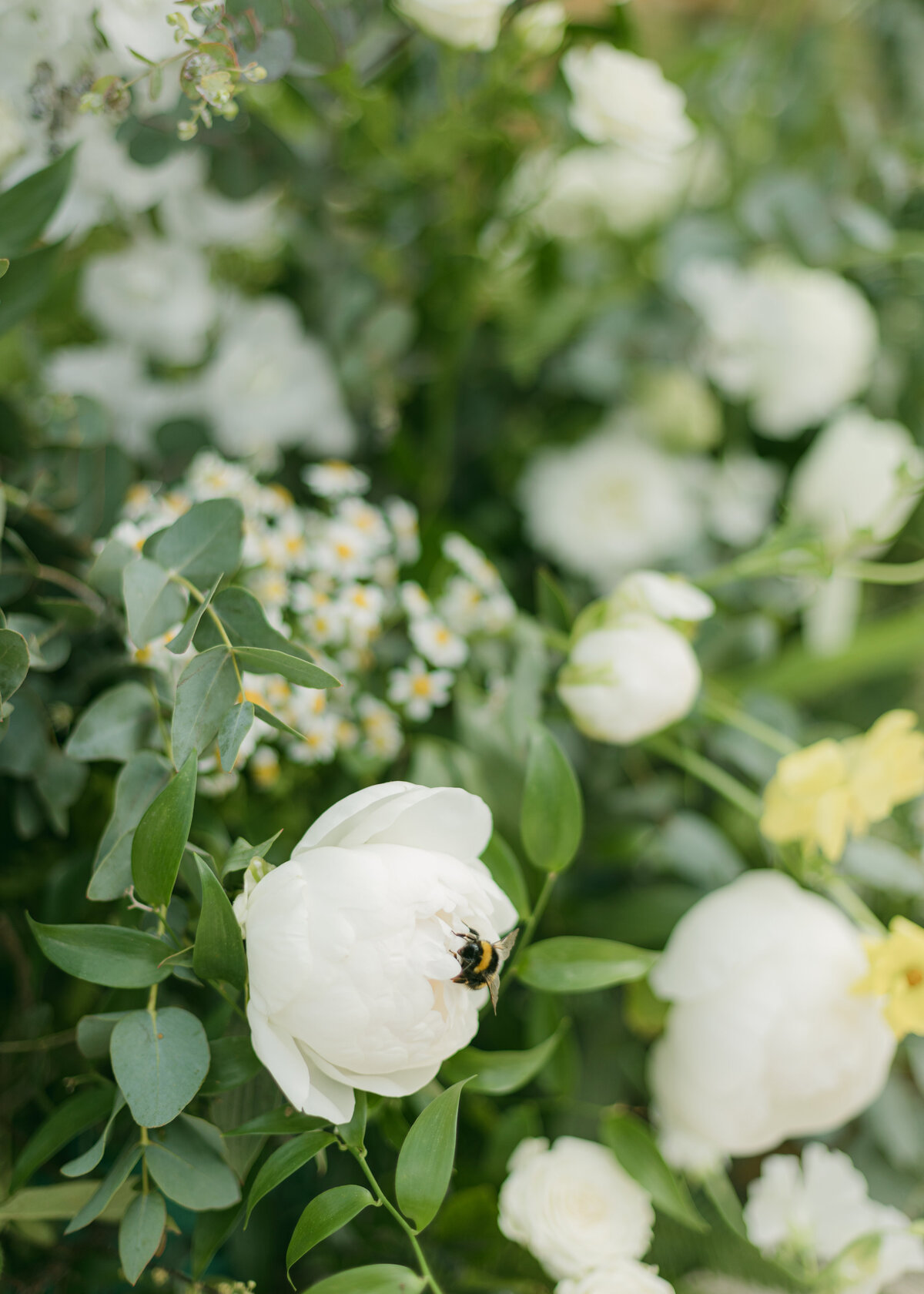Corrie-Wilf-Wedding-Yester-Estate-Chloe-Winstanley-Photography-217