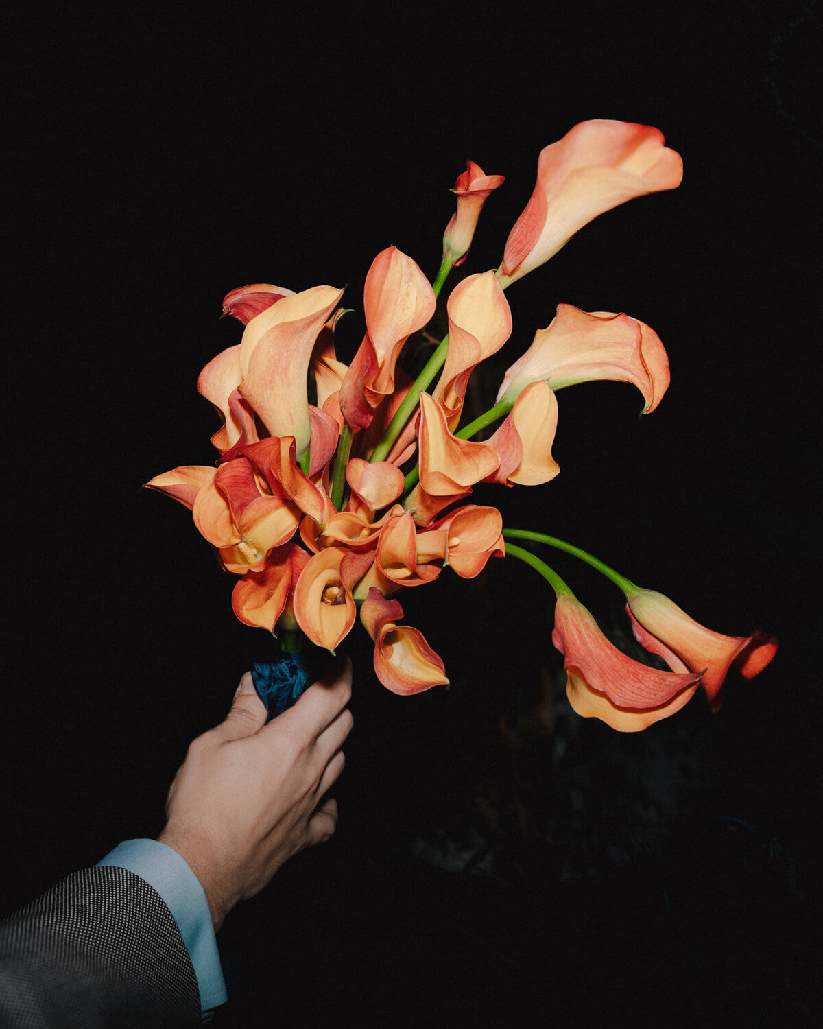 Cameron & Emanuel-373_websize