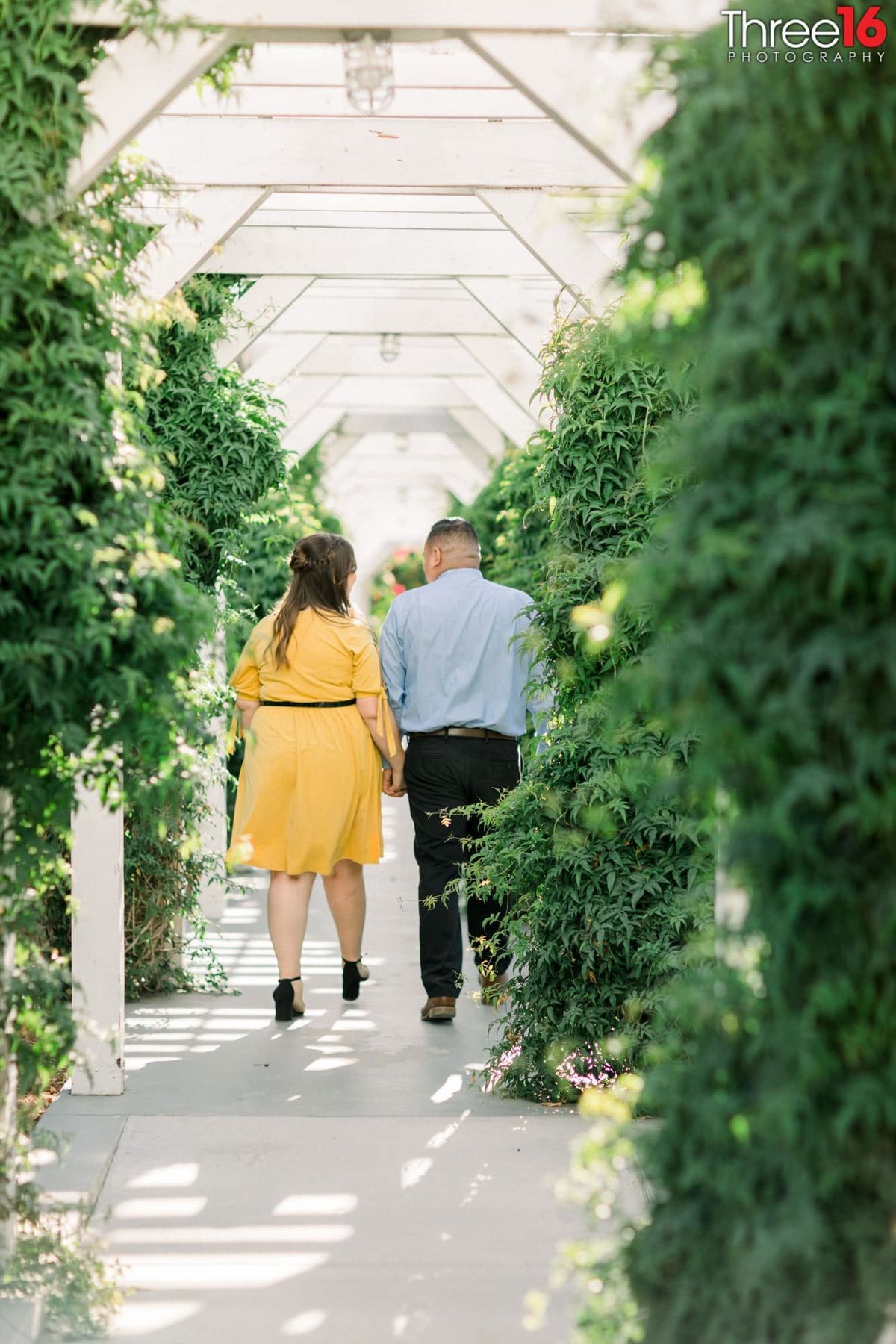 Engaged couple go for a walk amongst the planted shrubbery