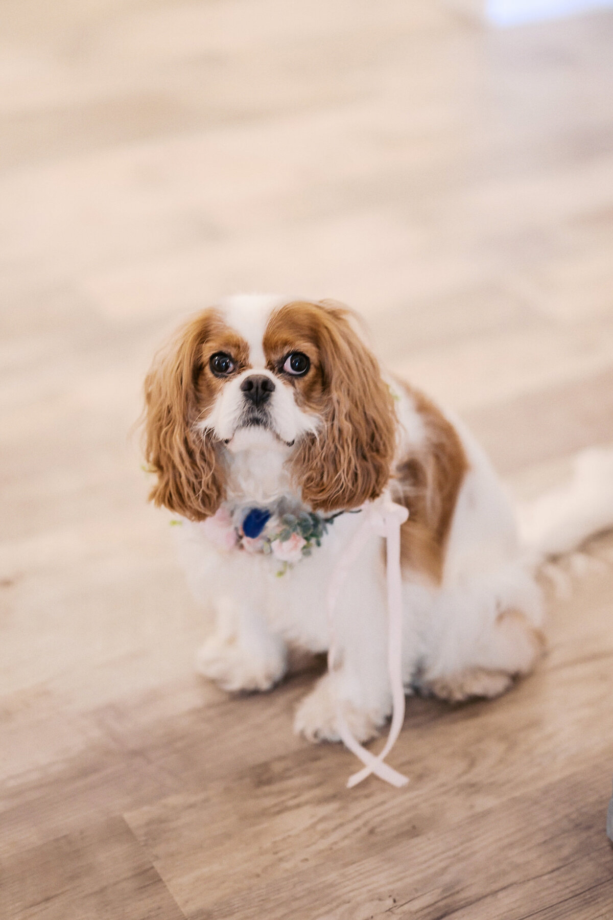 Atlanta Wedding Photographer-4