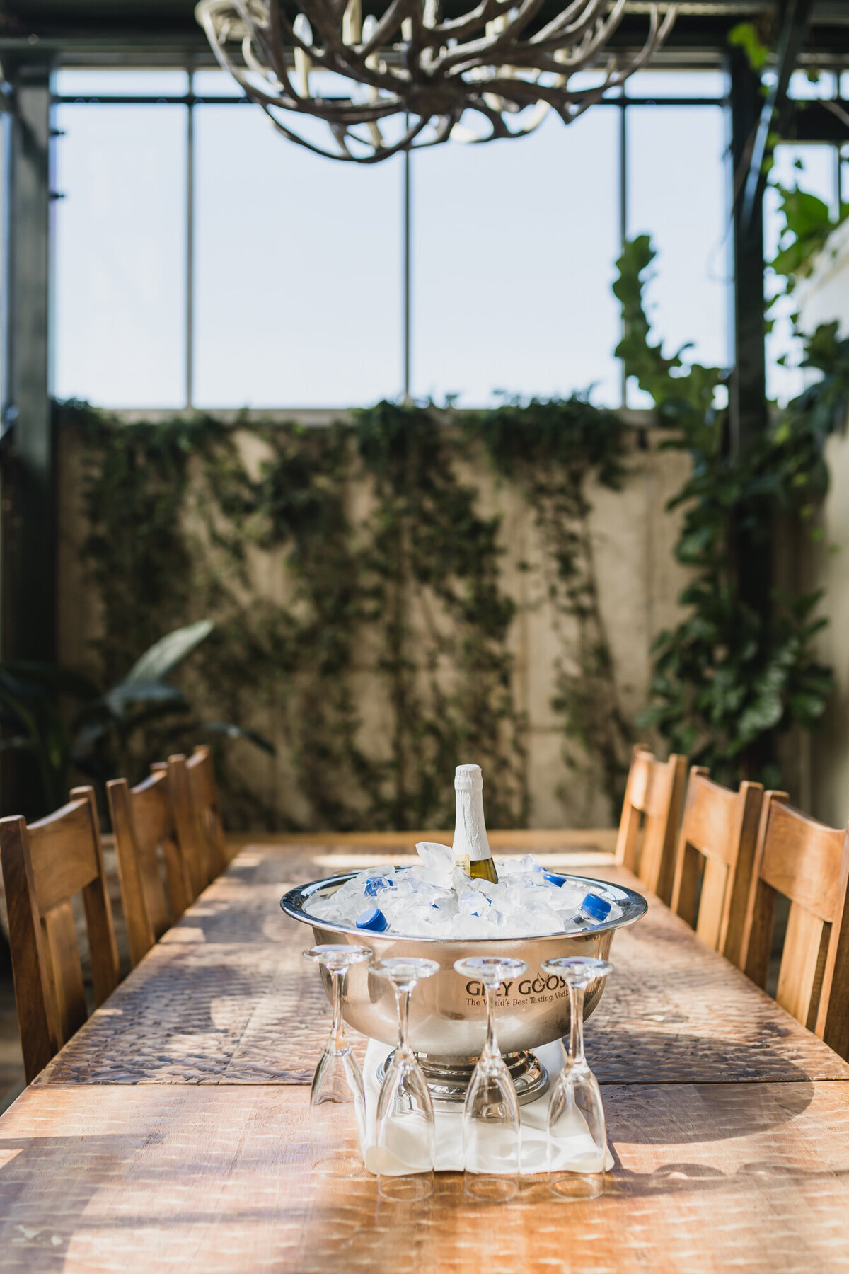 BLUSH AND BLACK SPRING PLANTERRA CONSERVATORY WEDDING IN WEST BLOOMFIELD, MICHIGAN PROVIDED BY KARI DAWSON, TOP-RATED DETROIT WEDING PHOTOGRAPHER, AND HER TEAM13