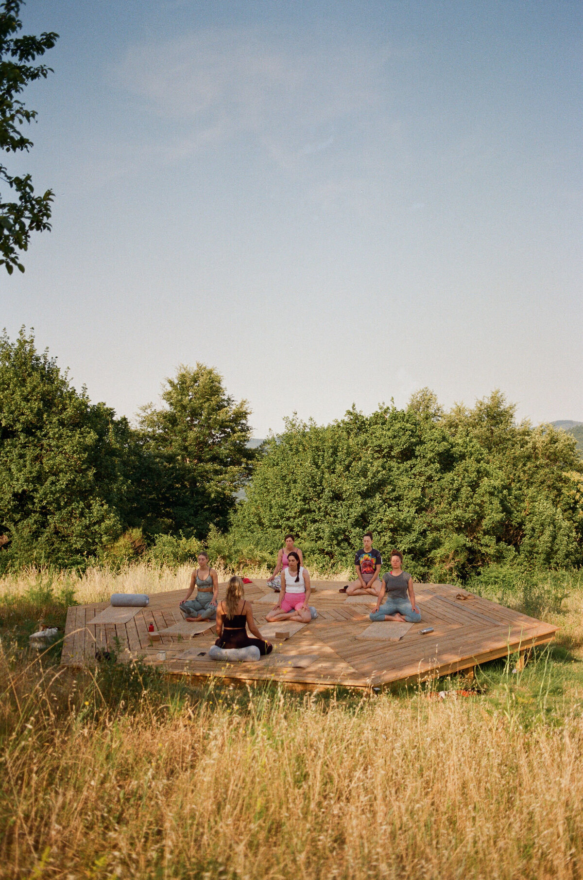 meadowsweet-21