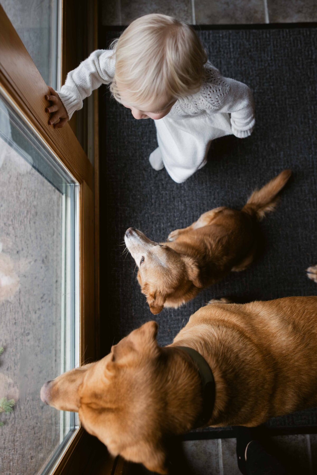 inhome-family-photography-ericaflemingphoto-03