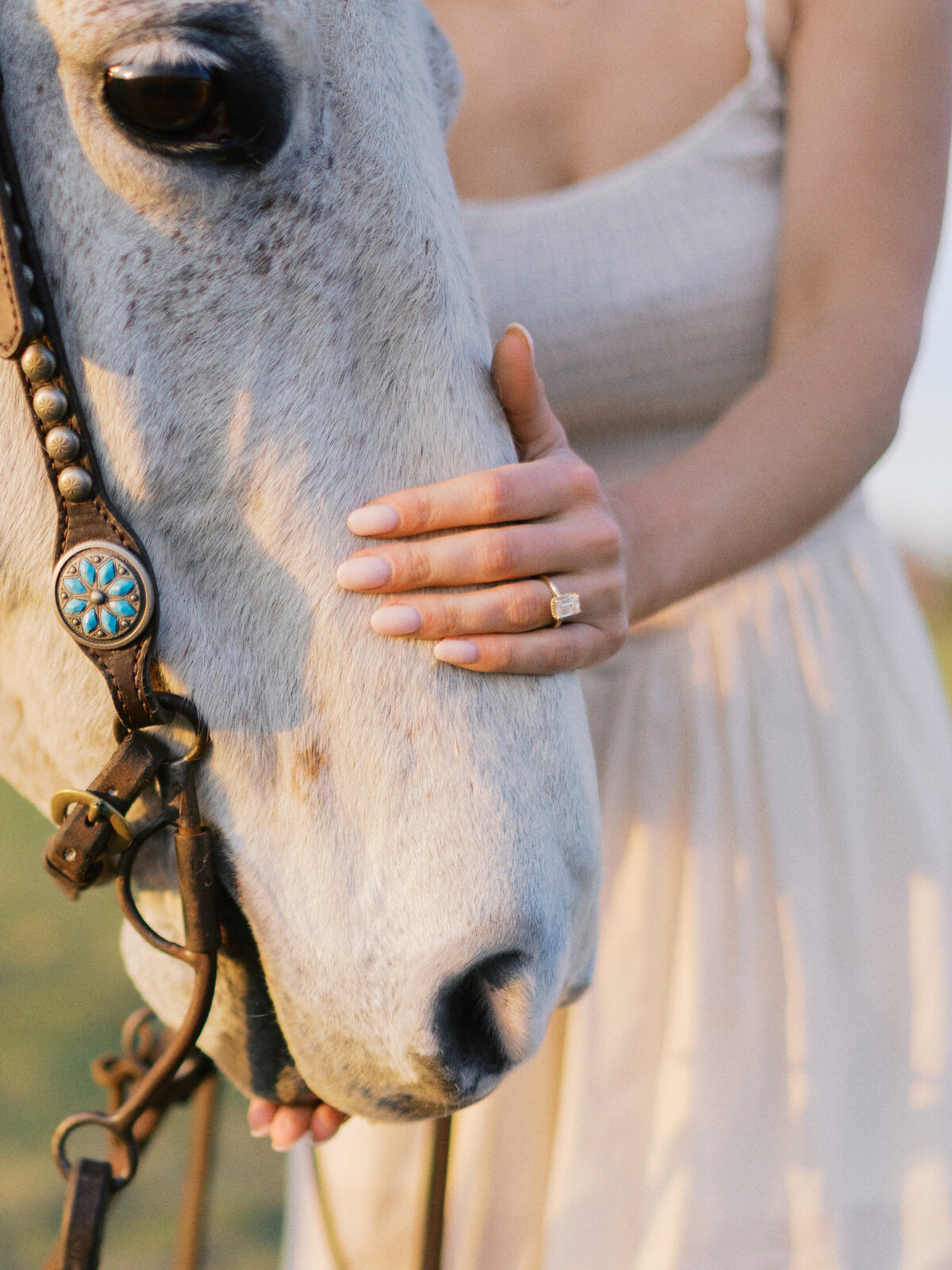 engagement-ring-horse