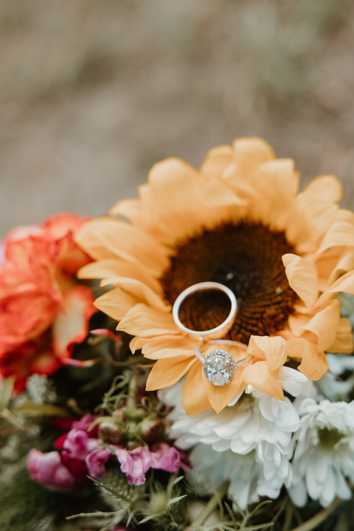 WebSizePhotos2-Rachel Colvill Photography-Bozeman, Montana-Bozeman Photographer-August 20, 2024-C22A5194