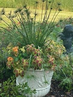 IMG_20240918_170933