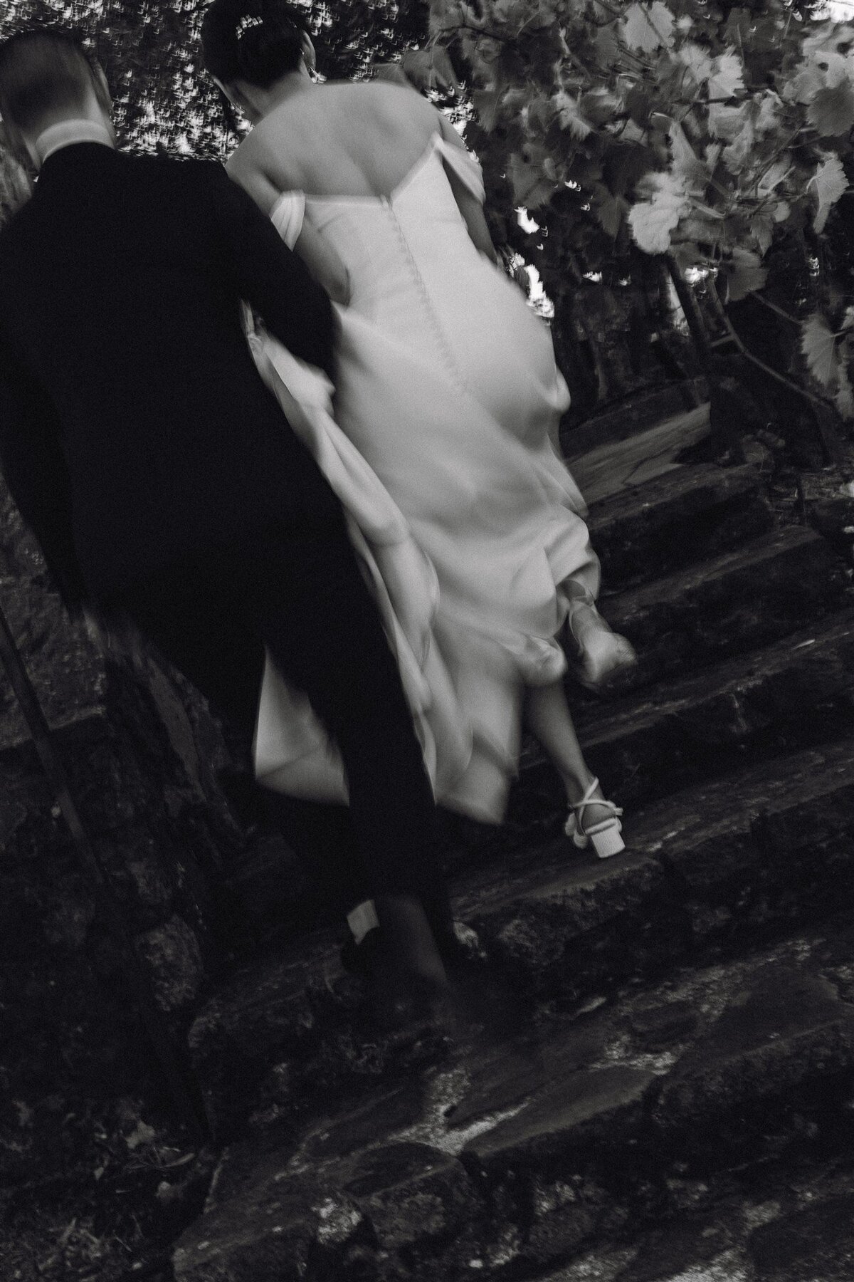 viansa-sonoma-wedding-annie-ben-ashley-carlascio-photography-0741