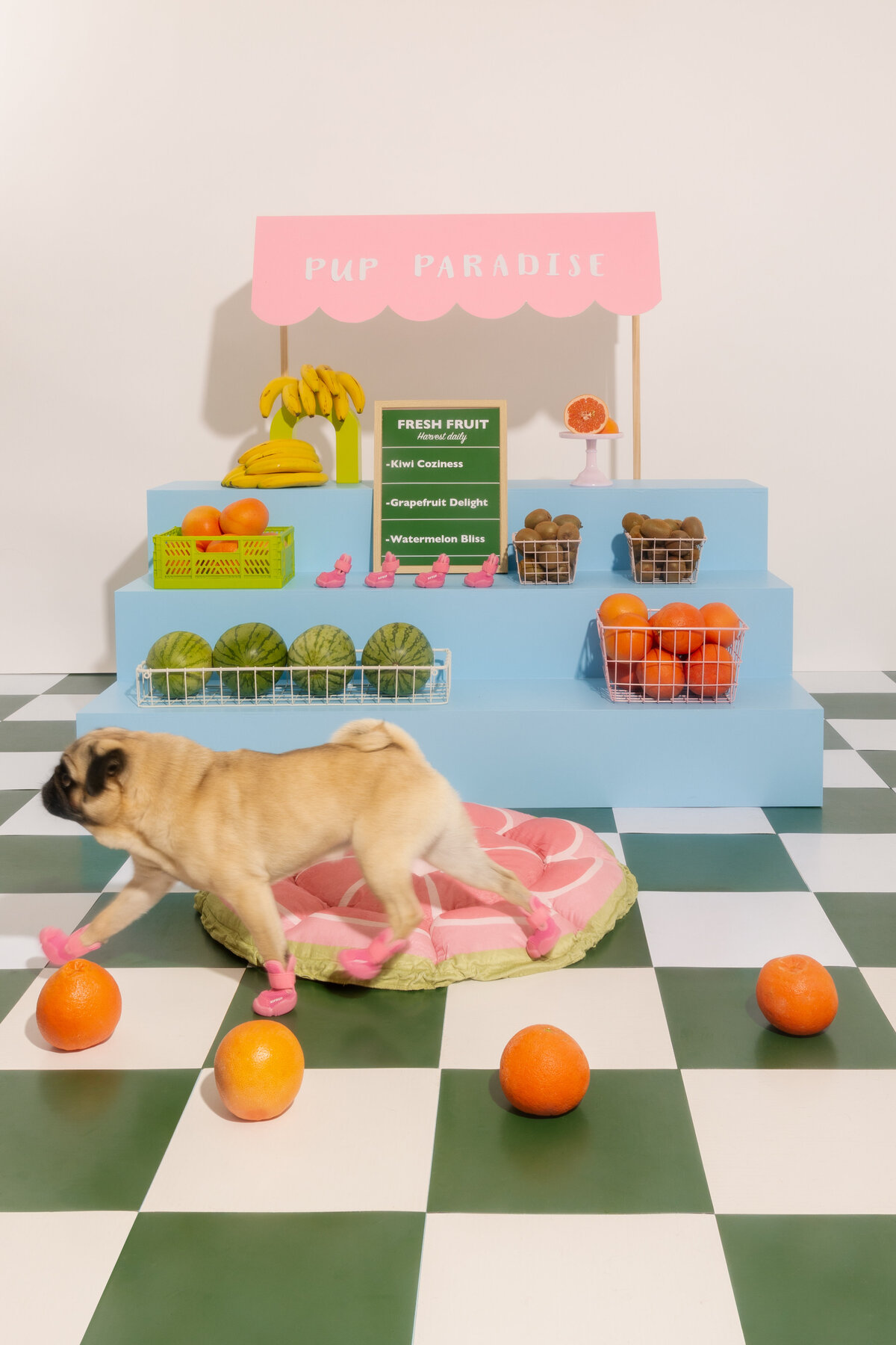 fruits for website_-2