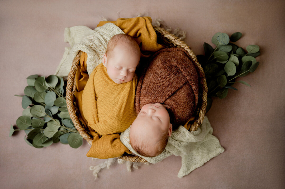 Minnesota Twin and Multiples Newborn and Family Photographer -  Nicole Hollenkamp - Central Minnesota DSC_0295DSC_6032DSC_8138