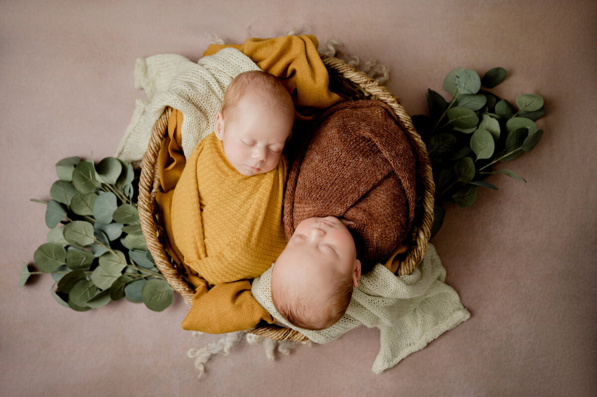 Twin Newborn Photography In studio in Princeton mn