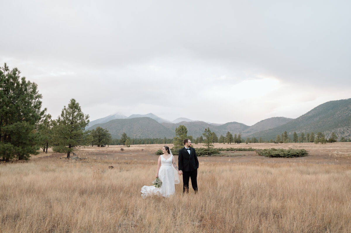 Elopement portraits in Buffalo Park, Flagstaff Arizona