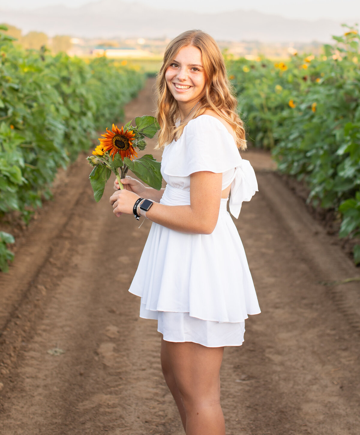 Addison sunflower shoot _0007