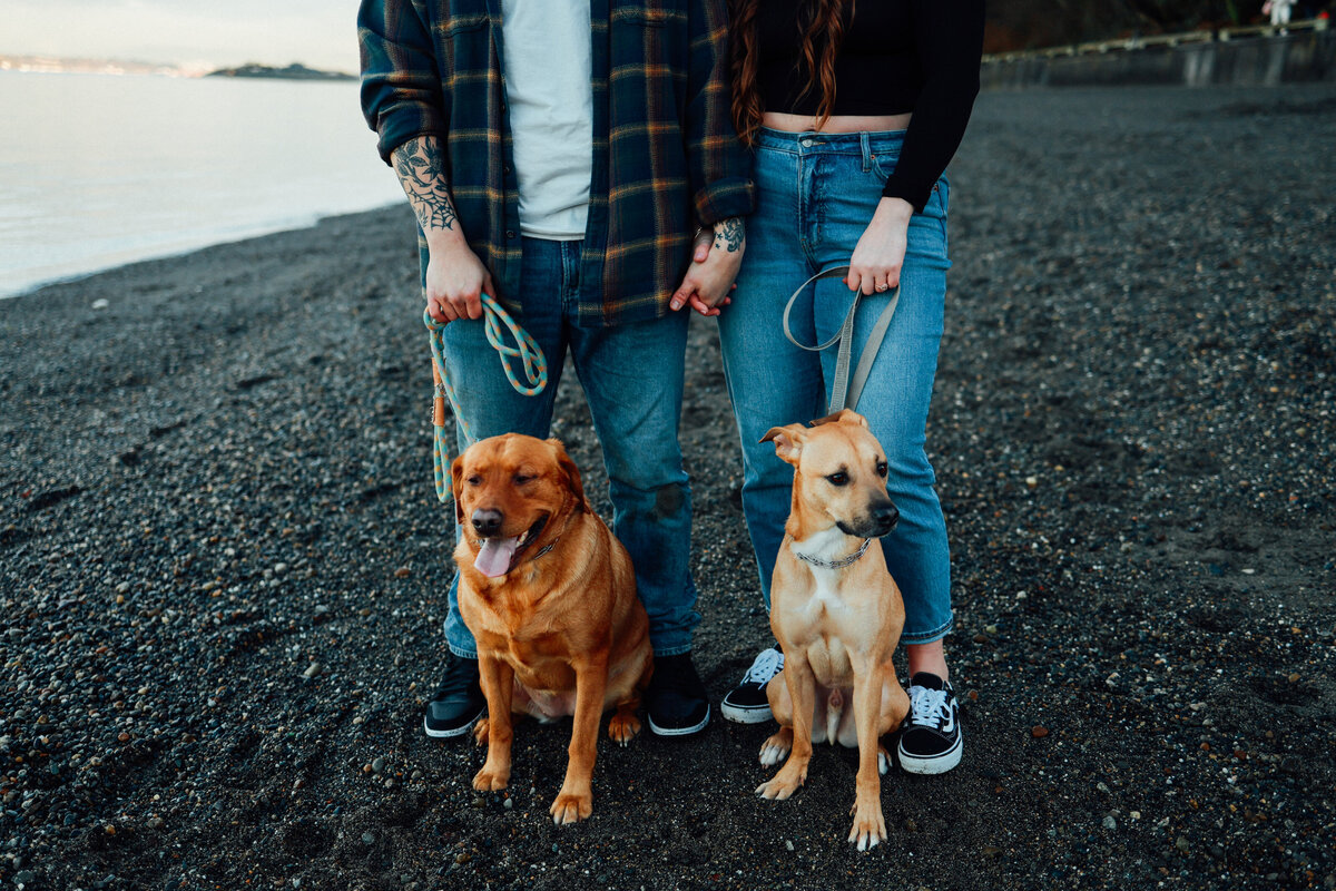 41Seattle-Wedding-photographer-associate-sydney-189