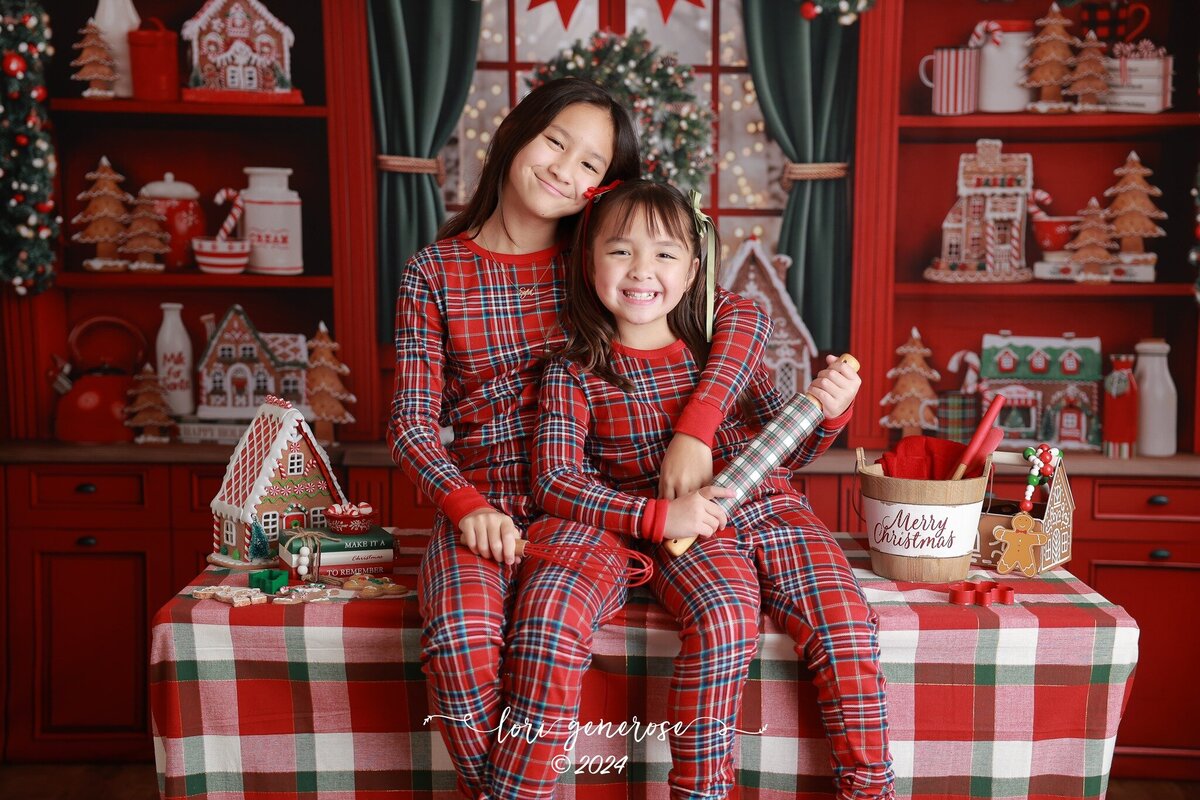 lehigh-valley-photographer-lori-generose-lg-photography-christmas-studio-mini-session- macungie-pa
