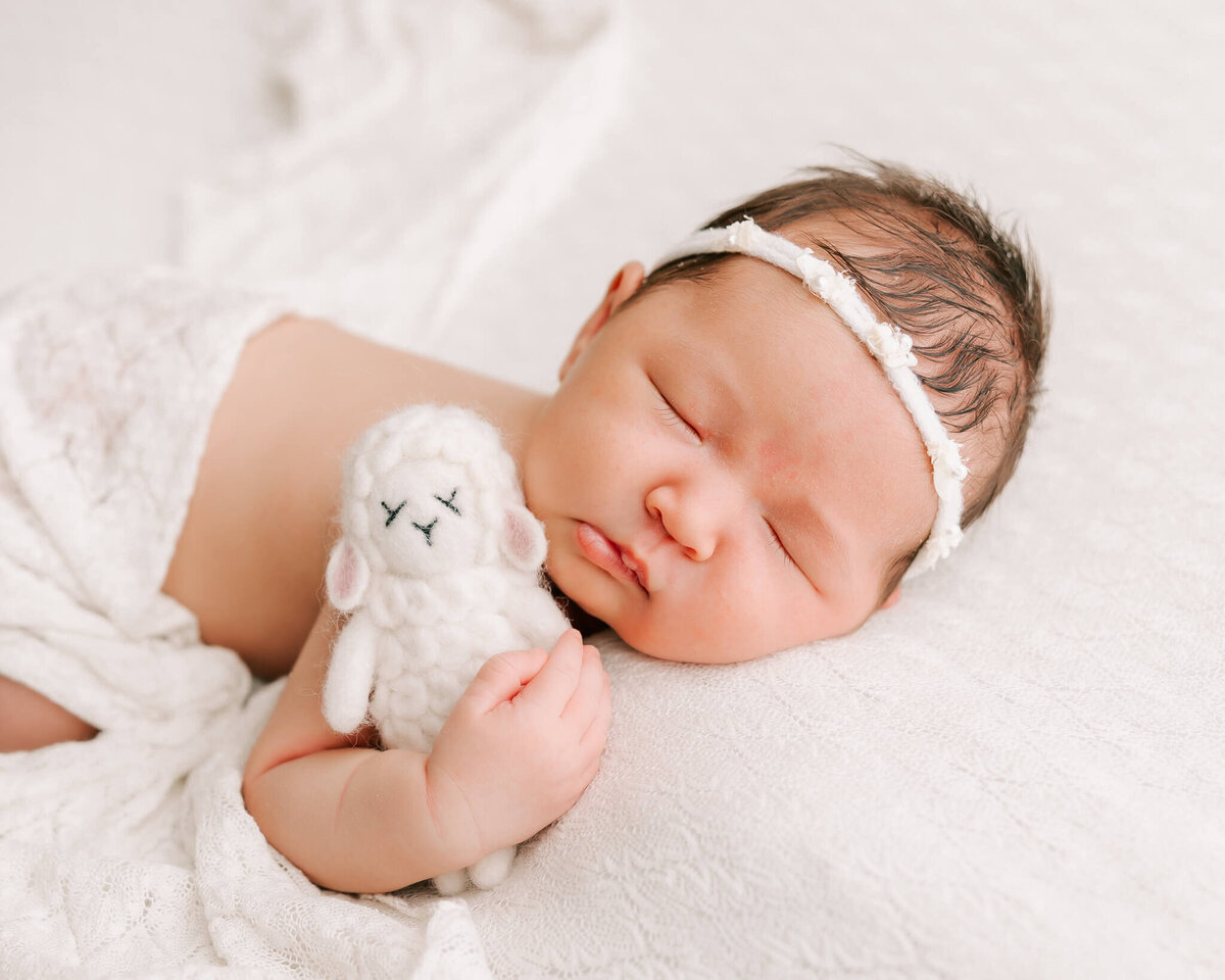 little baby holding sheep stuffie as she sleeps in portland oregon portrait studio