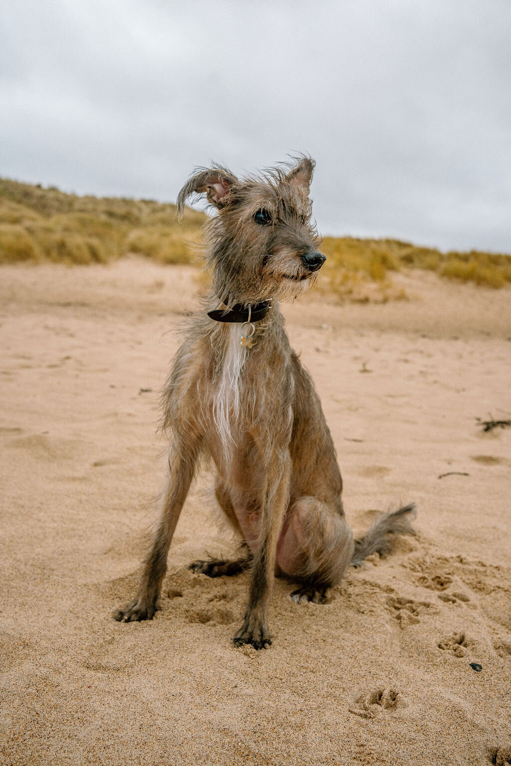 Sophie-Dunleavy-Photography---37