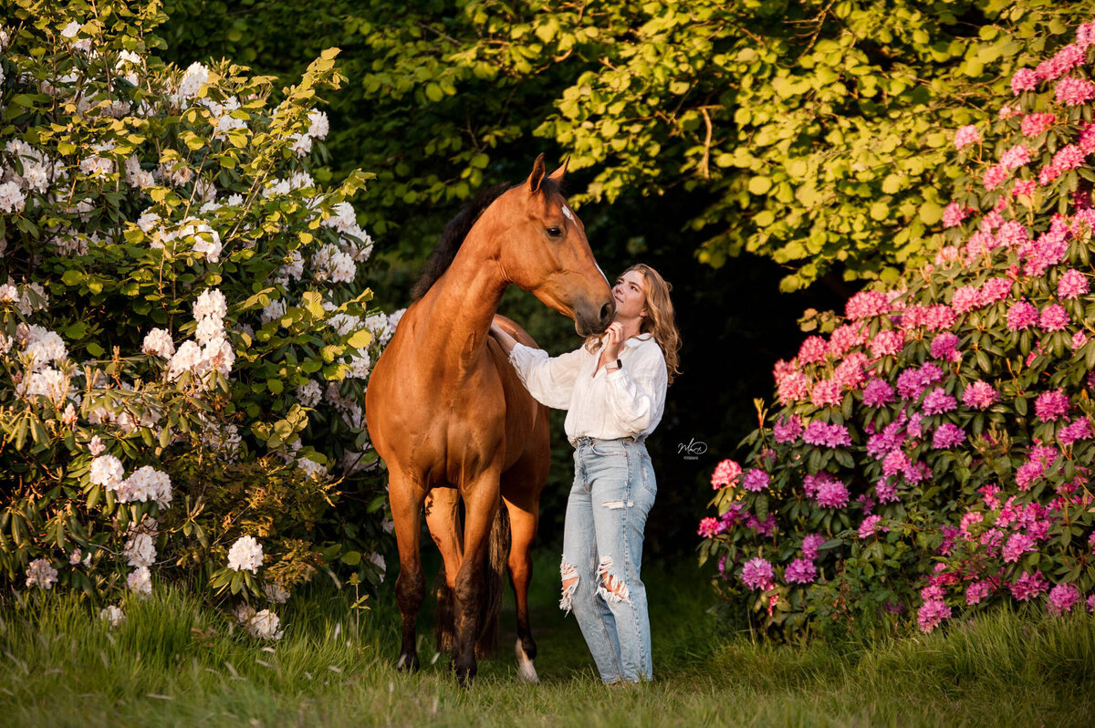 paardenfotograaf friesland (12)