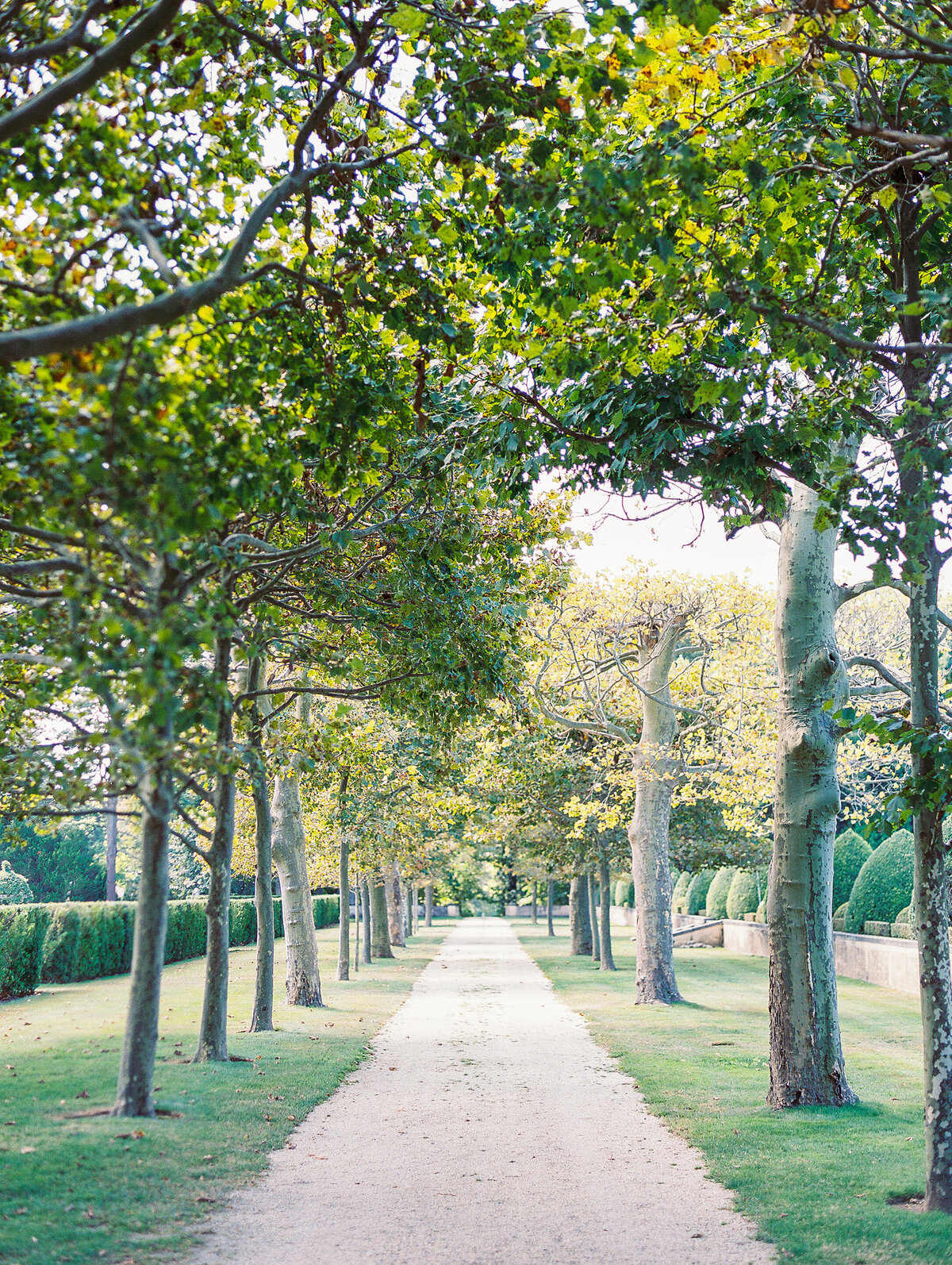 KatieTraufferPhotography-LaurenandJohnnyWedding-173