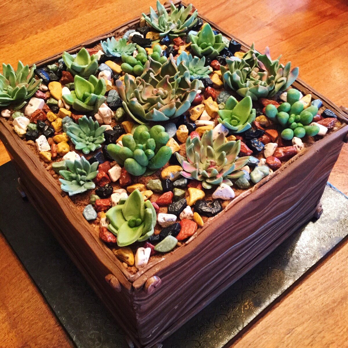 Woodgrain square cake designed as a garden box filled with handcrafted fondant succulents and chocolate rocks