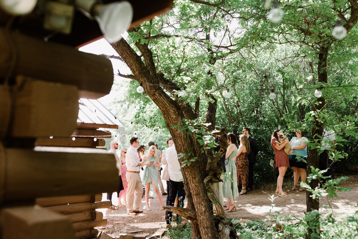 Guests can be seen mingling through the trees at Dallenbach Ranch Colorado Wedding