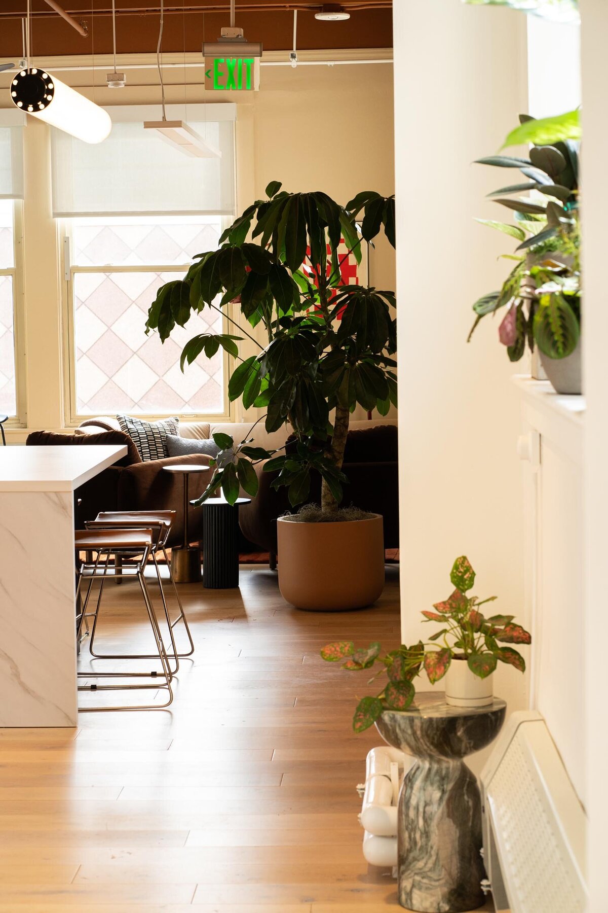 View into a warm-toned office lounge with large indoor plants, soft seating, and natural light streaming through tall windows.